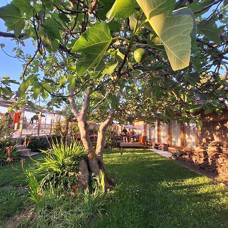 Pilgrims Rest - Vila Nova De Cerveira - Hostel - Albergue - Al المظهر الخارجي الصورة