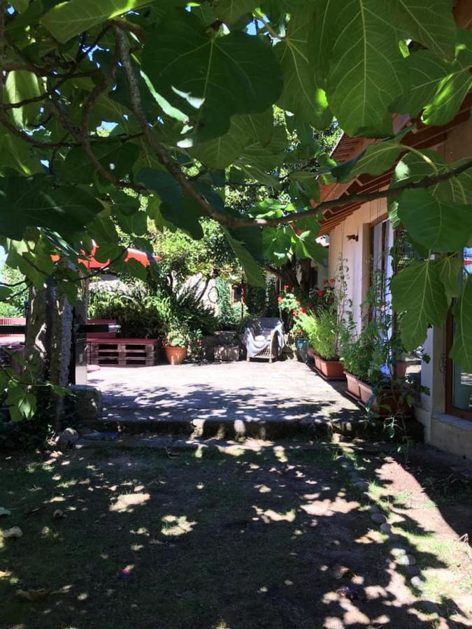 Pilgrims Rest - Vila Nova De Cerveira - Hostel - Albergue - Al المظهر الخارجي الصورة