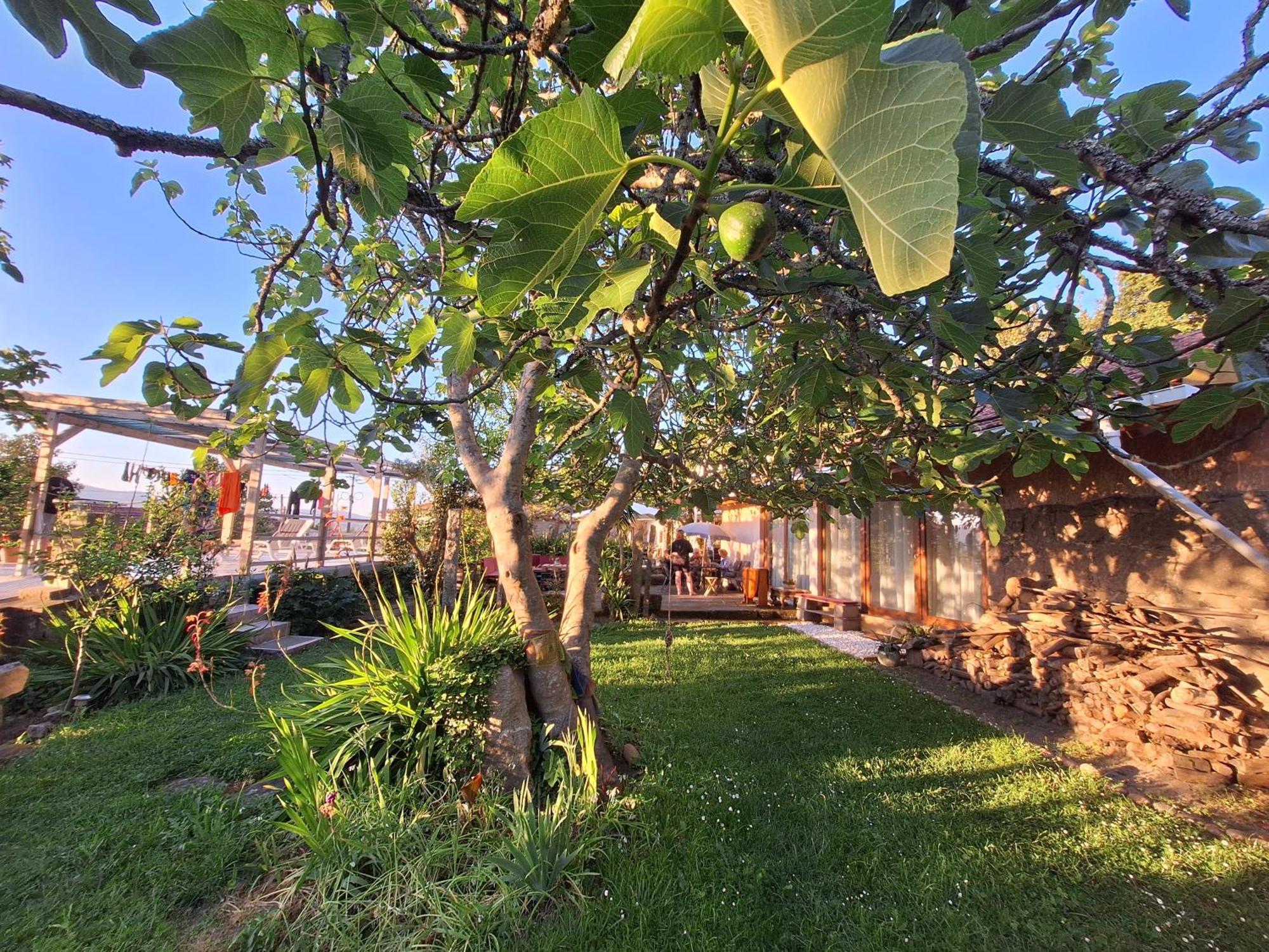 Pilgrims Rest - Vila Nova De Cerveira - Hostel - Albergue - Al المظهر الخارجي الصورة
